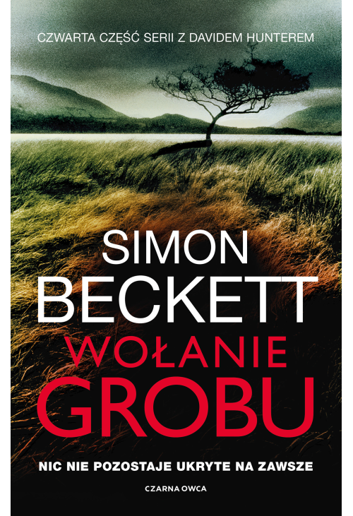 Wołanie grobu