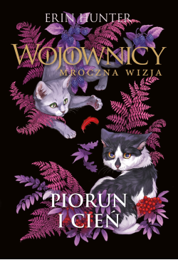 Piorun i cień
