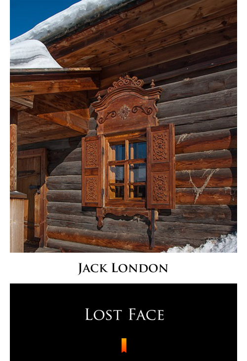 Lost Face