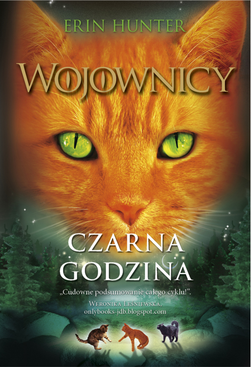 Czarna godzina, Wojownicy, Tom VI
