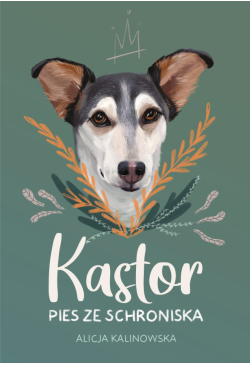 Kastor