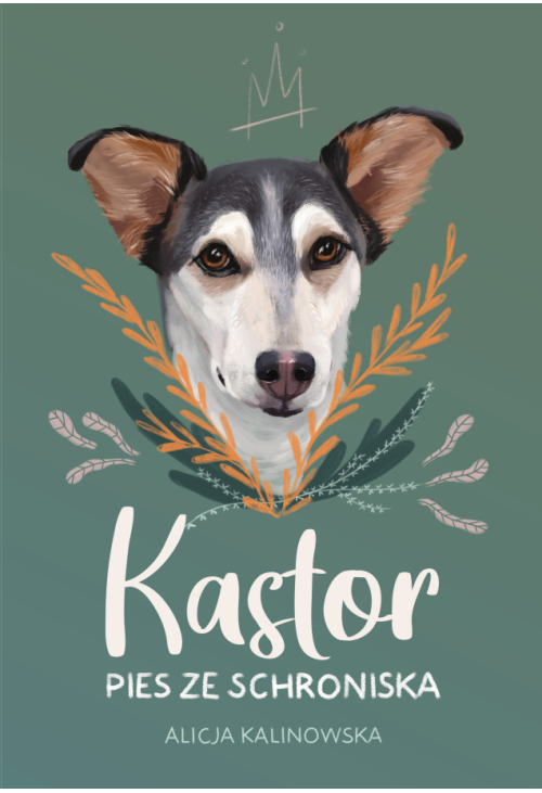 Kastor