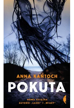 Pokuta