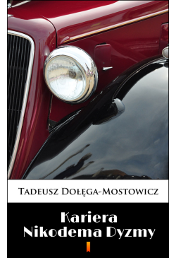 Kariera Nikodema Dyzmy