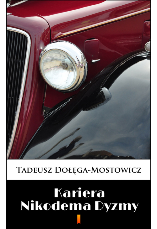 Kariera Nikodema Dyzmy