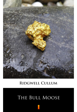 The Bull Moose