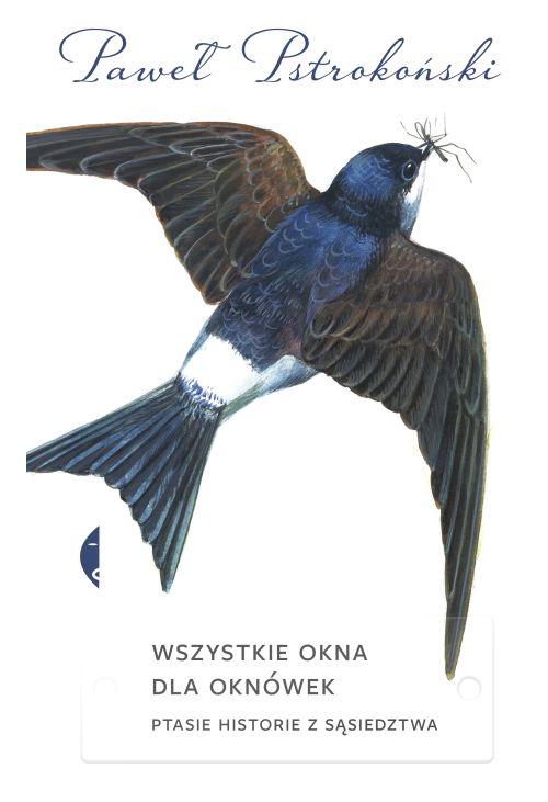 Wszystkie okna dla oknówek