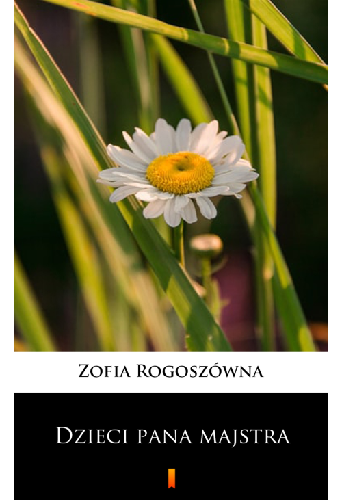 Dzieci pana majstra