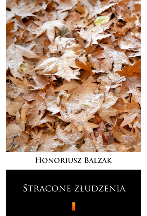 Stracone złudzenia
