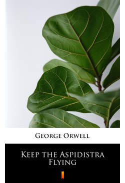 Keep the Aspidistra Flying