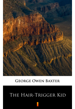 The Hair-Trigger Kid