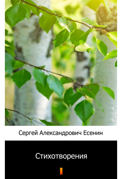 Стихотворения (Wiersze)