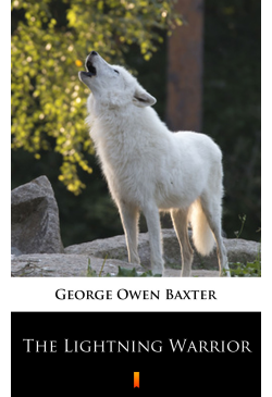 The Lightning Warrior