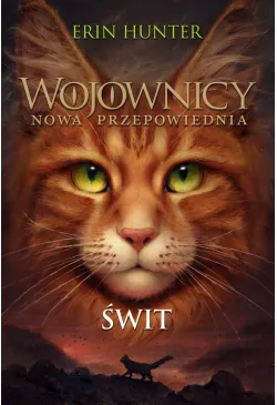 Świt