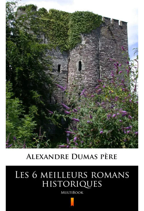 Les 6 meilleurs romans historiques