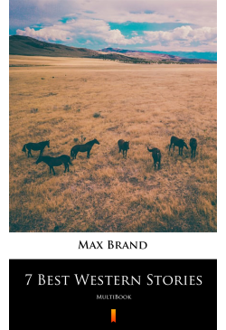 7 Best Western Stories