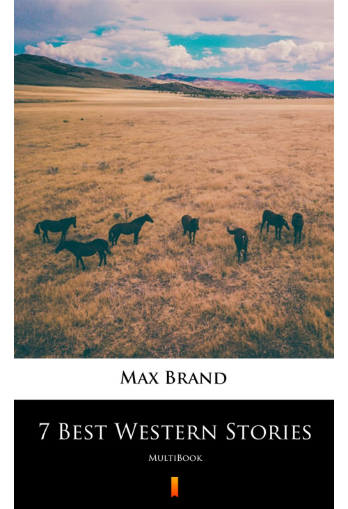 7 Best Western Stories