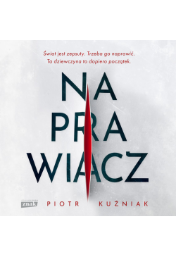 Naprawiacz