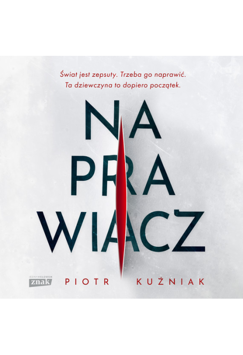 Naprawiacz