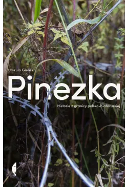 Pinezka