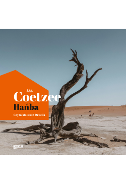 Hańba