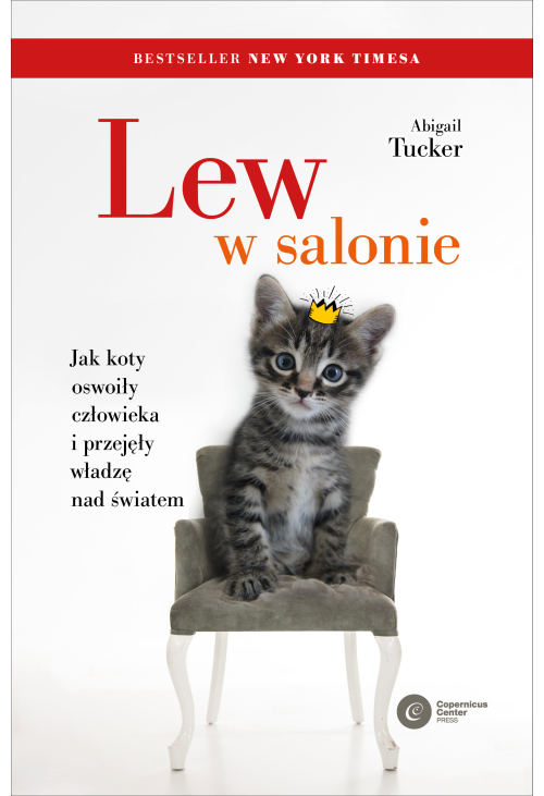 Lew w salonie.