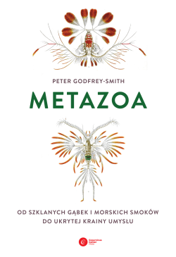 Metazoa
