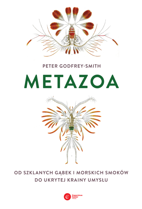 Metazoa