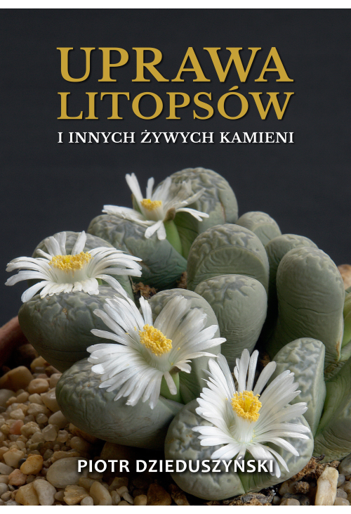Uprawa litopsów i innych żywych kamieni