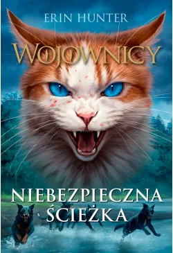Niebezpieczna ścieżka,...