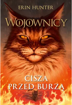 Cisza przed burzą,...