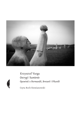 Ostrygi i kamienie