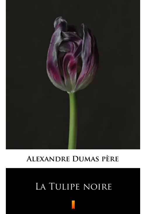 La Tulipe noire