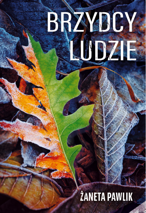 Brzydcy ludzie