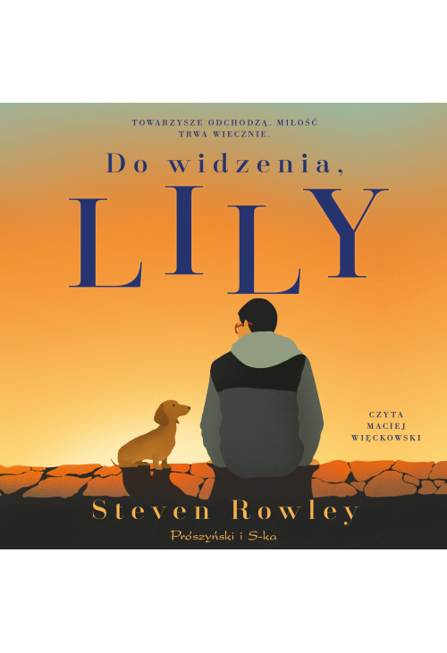 Do widzenia, Lily