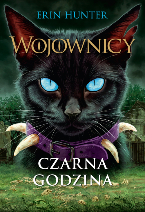 Czarna godzina, Wojownicy, Tom VI