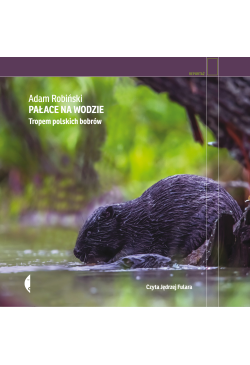 Pałace na wodzie