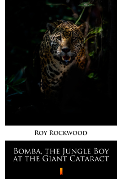 Bomba, the Jungle Boy at...