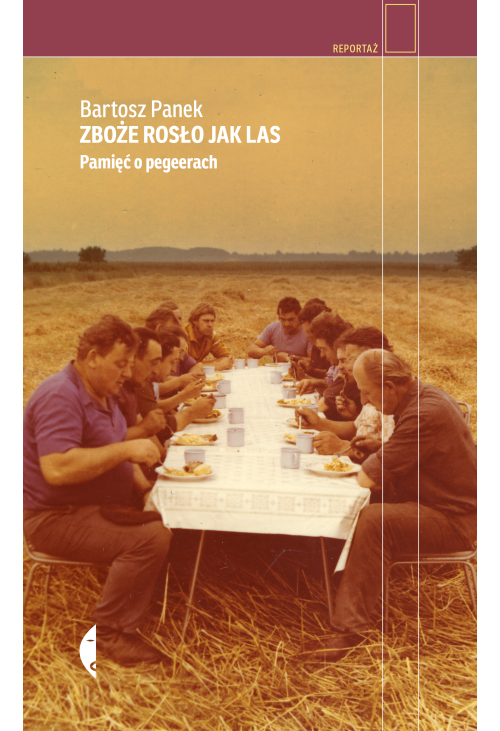 Zboże rosło jak las