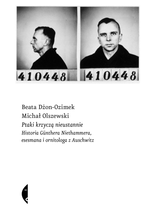 Ptaki krzyczą nieustannie