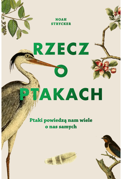 Rzecz o ptakach