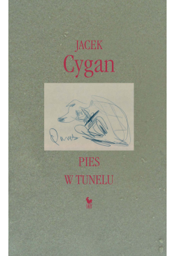 Pies w tunelu