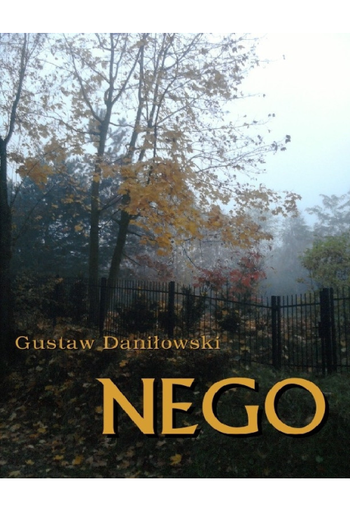Nego - smutna historia o zniszczeniu dziecka przez szkołę