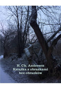 Książka z obrazkami bez...