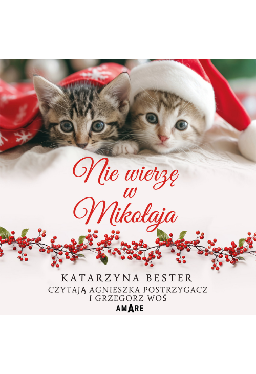 Nie wierzę w Mikołaja