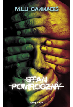 Stan Pomroczny