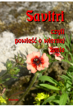 Savitri. Czyli powieść o...