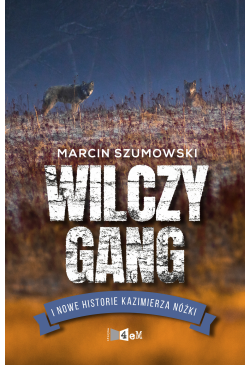 Wilczy gang i nowe historie...