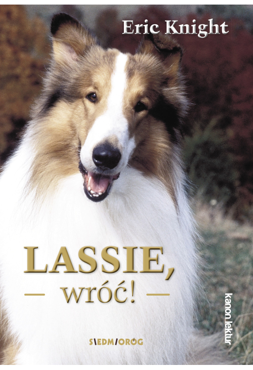 Lassie, wróć!