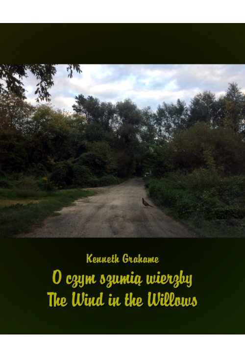 O czym szumią wierzby The Wind in the Willows